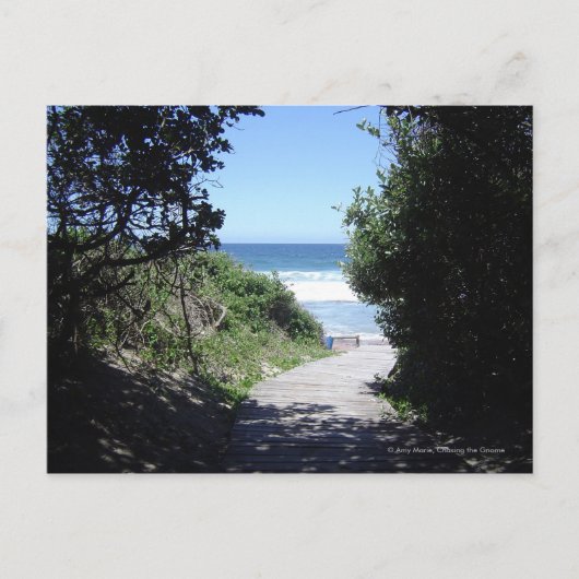 Carte Postale Chemin croisé (Devant)