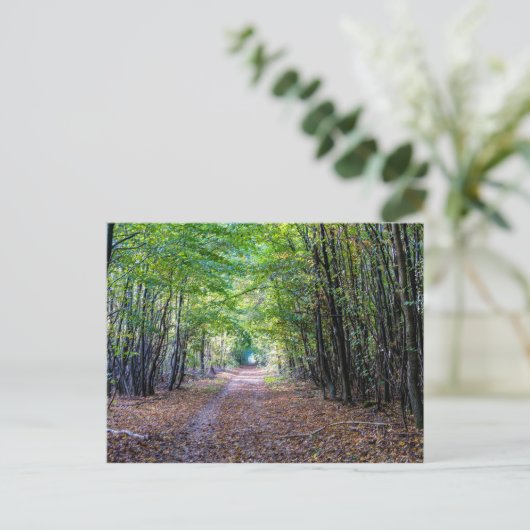 Carte Postale Chemin dans la forêt automnale, Forêt Saint Germai (Debout devant)