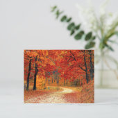 Carte Postale Chemin dans la forêt, automne (Debout devant)