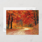 Carte Postale Chemin dans la forêt, automne (Devant / Derrière)