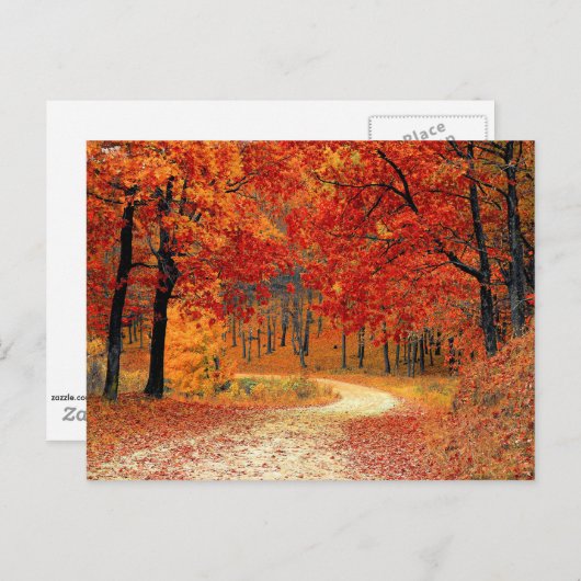Carte Postale Chemin dans la forêt, automne (Devant / Derrière)