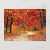 Carte Postale Chemin dans la forêt, automne (Devant)