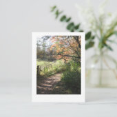 Carte postale Chemin d'automne (Debout devant)