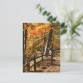 Carte Postale Chemin d'automne (Debout devant)