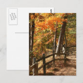 Carte Postale Chemin d'automne (Devant / Derrière)