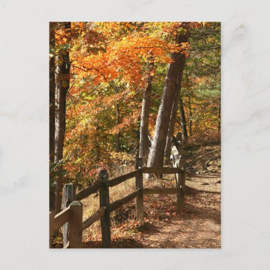 Carte Postale Chemin d'automne (Devant)