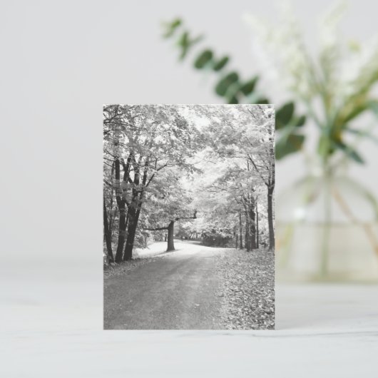 Carte Postale Chemin d'automne (Debout devant)