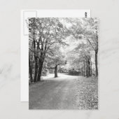 Carte Postale Chemin d'automne (Devant / Derrière)