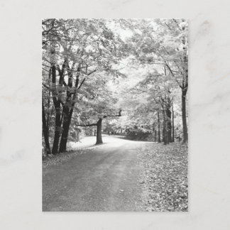 Carte Postale Chemin d'automne