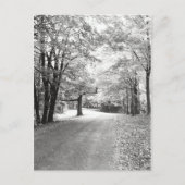 Carte Postale Chemin d'automne (Devant)