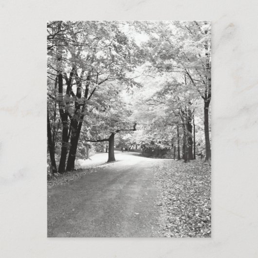 Carte Postale Chemin d'automne (Devant)