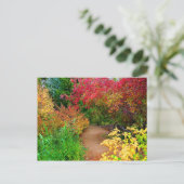 Carte Postale Chemin d'automne (Debout devant)