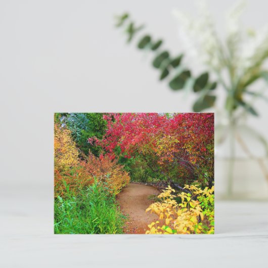 Carte Postale Chemin d'automne (Debout devant)