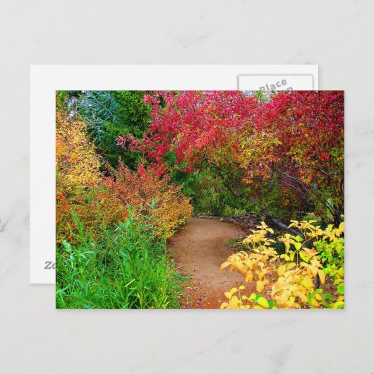 Carte Postale Chemin d'automne (Devant / Derrière)