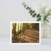 Carte Postale Chemin d'automne : Keswick (Debout devant)
