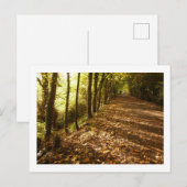 Carte Postale Chemin d'automne : Keswick (Devant / Derrière)