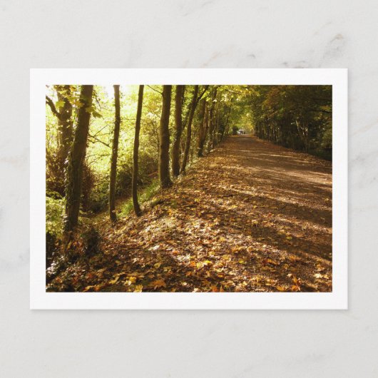 Carte Postale Chemin d'automne : Keswick (Devant)