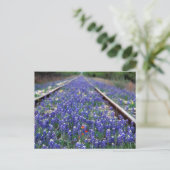 Carte Postale Chemin de fer Bluebonnet (Debout devant)
