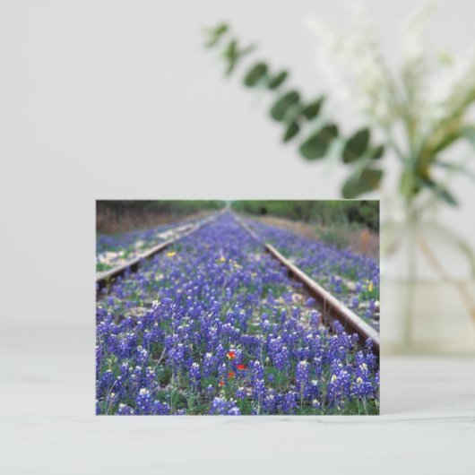 Carte Postale Chemin de fer Bluebonnet (Debout devant)