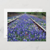 Carte Postale Chemin de fer Bluebonnet (Devant / Derrière)