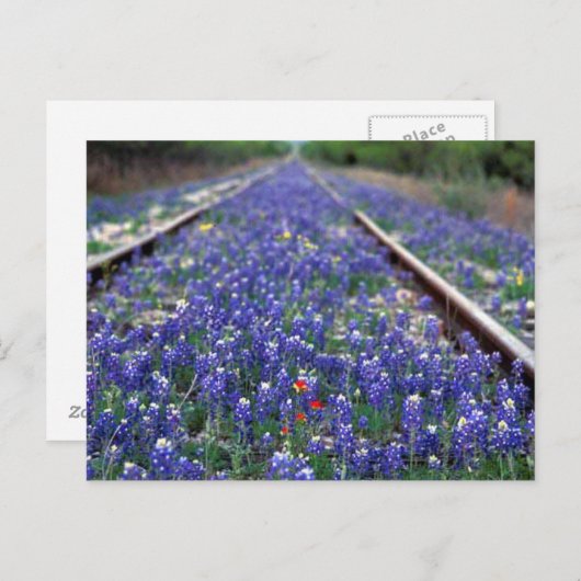 Carte Postale Chemin de fer Bluebonnet (Devant / Derrière)
