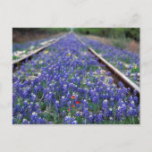 Carte Postale Chemin de fer Bluebonnet (Devant)