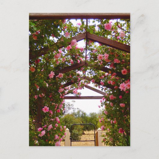 Carte Postale Chemin de fleurs couvert (Devant)