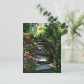 Carte Postale Chemin de jardin enchanté (Debout devant)