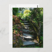 Carte Postale Chemin de jardin enchanté (Devant / Derrière)