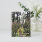 Carte Postale Chemin de la boucle de la forêt côtière, Cape Disn (Debout devant)