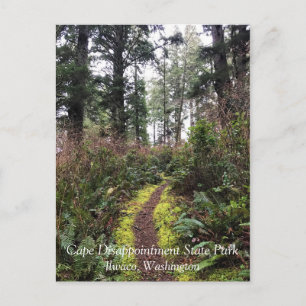 Carte Postale Chemin de la boucle de la forêt côtière, Cape Disn