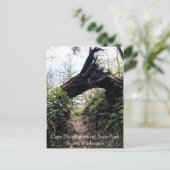 Carte Postale Chemin de la boucle de la forêt côtière, Cape Disn (Debout devant)