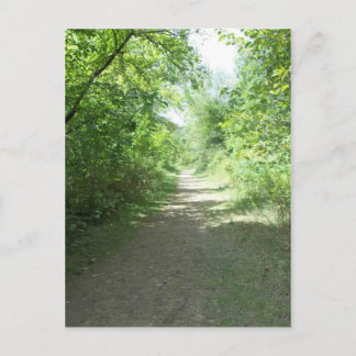 Carte Postale Chemin de la forêt