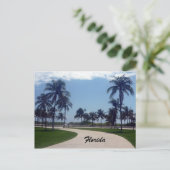 Carte Postale chemin de la plage de florida (Debout devant)