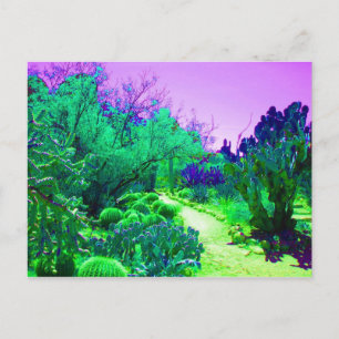 Carte Postale Chemin de l'Arizona Cactus