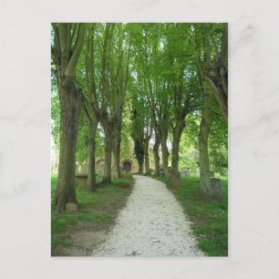 Carte Postale Chemin de l'église