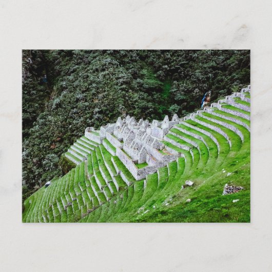 Carte Postale Chemin de l'Inca Machu Picchu Pérou - Photographie (Devant)