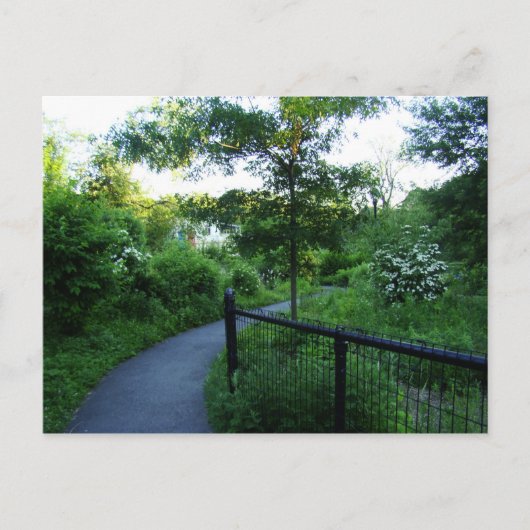 Carte Postale Chemin de marche vers la maison de bord (Devant)