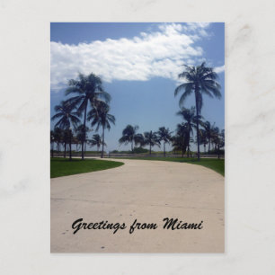 Carte Postale chemin de miami palm