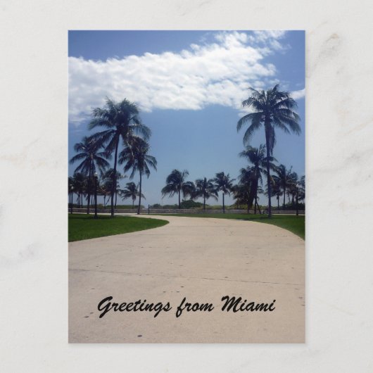 Carte Postale chemin de miami palm (Devant)