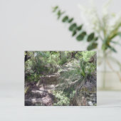 Carte Postale chemin de montagnes bleues (Debout devant)