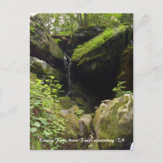 Carte Postale Chemin de moteur Roaring Forks - Gatlinburg, TN