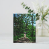 Carte postale Chemin De Vie (Debout devant)