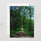 Carte postale Chemin De Vie (Devant / Derrière)