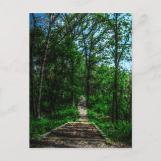 Carte postale Chemin De Vie