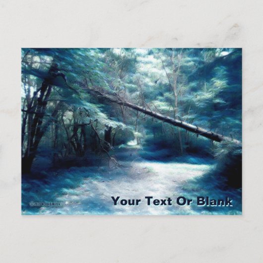 Carte Postale Chemin du Briquet bleu (Devant)