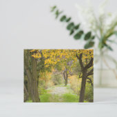 Carte Postale Chemin en automne (Debout devant)