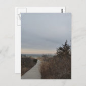 Carte Postale Chemin en bois (Devant / Derrière)