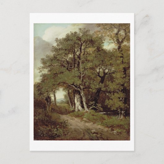 Carte Postale Chemin En Bois (Devant)