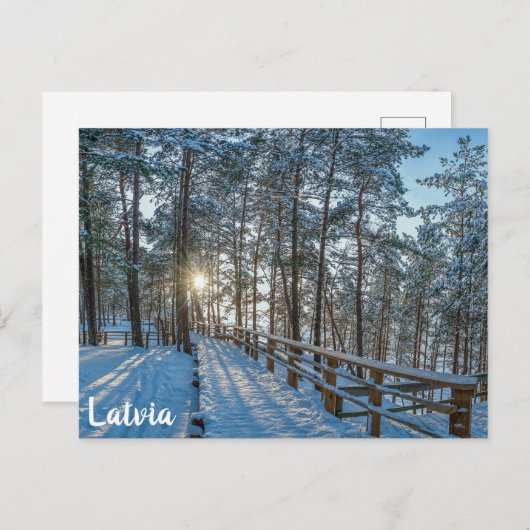 Carte Postale Chemin en bois sur la forêt d'hiver enneigée (Devant / Derrière)